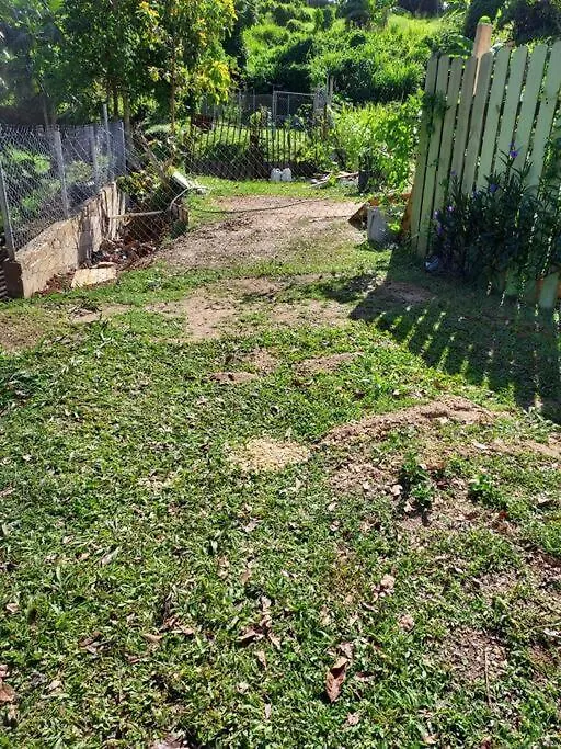 בית נופש הוילה אדחונטס Casa Vivi Sonando פוארטו ריקו